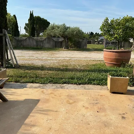 Oda ve Kahvaltı Bella Vida 3*